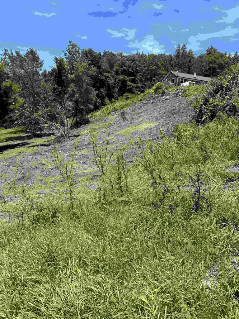 Land Clearing Albany