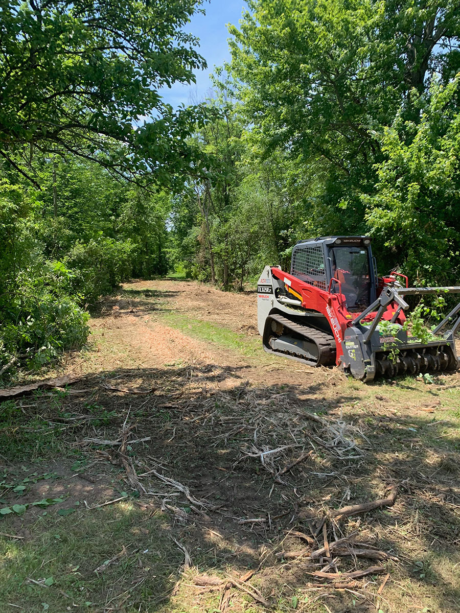 brush-hogging-Albany